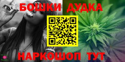 прущие крисы Гатчина
