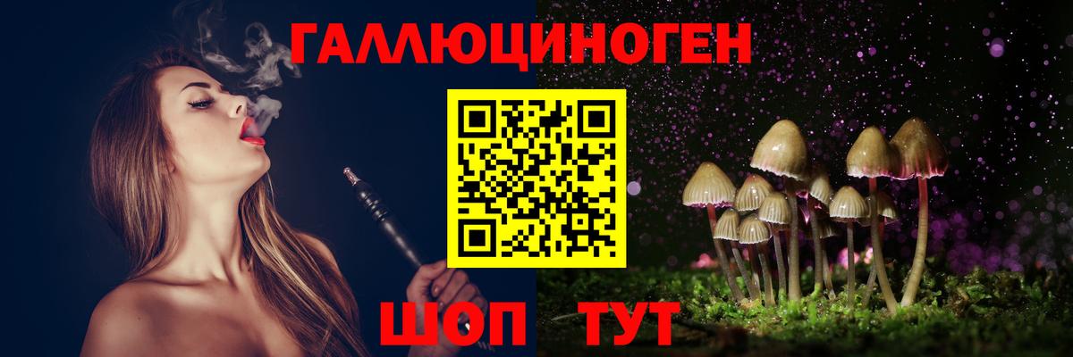 Дагестанские Огни  Галлюциногенные грибы Psilocybe  Псилоцибиновые грибы мухоморы  Вход с VPN 